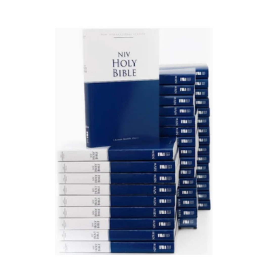 Free Bible – Share the Word, Grow in Faith